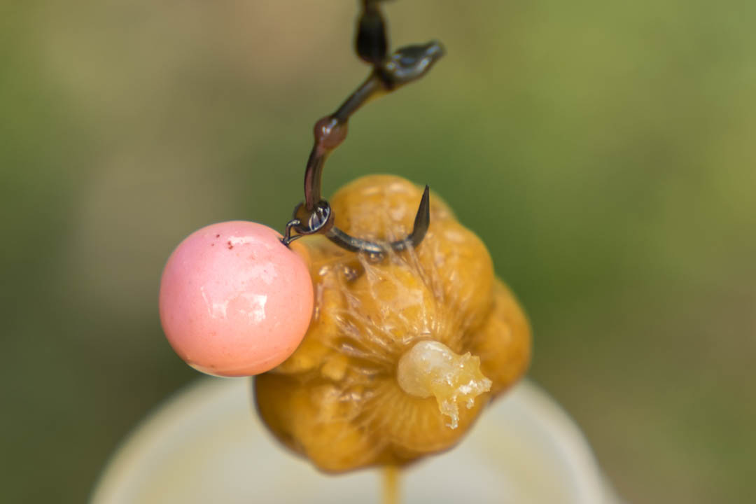Why Use 10mm Boilies for Carp Fishing?