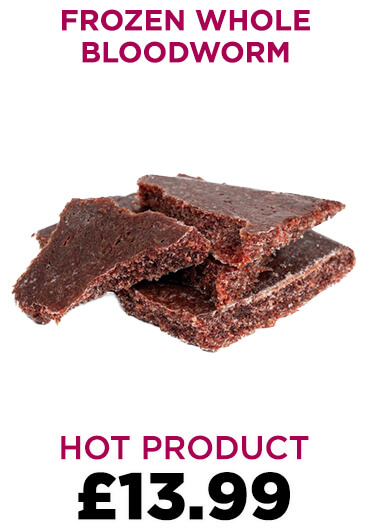Frozen Whole Bloodworm